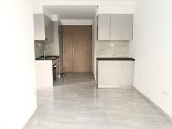 High Park Residences (D28), Apartment #205311581